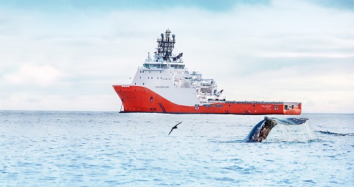 Метод активной акустики «Газпромнефть-Сахалина» для наблюдения за серыми китами заинтересовал ученых