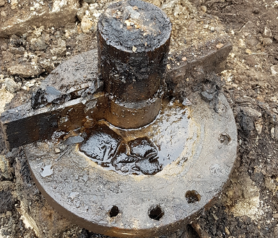 Исторические нефтяные скважины в Бузулукском бору ликвидируют