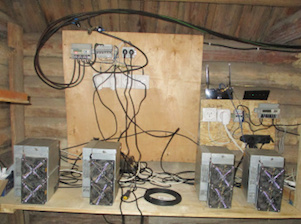 «Ленэнерго» пресекло незаконное подключение к электросетям майнинг-фермы в деревне Шолтоло