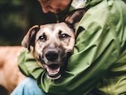 В Росэнергоатоме стартовала благотворительная акция «Коробка добра» в помощь животным из приюта