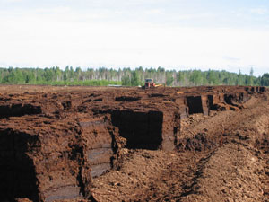 В Свердловской области построят ТЭС на торфе