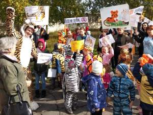 Зейская ГЭС поддержала акцию в защиту амурских тигров