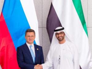 Сотрудничество России и ОАЭ по линии энергетики обладает колоссальным потенциалом