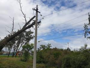 Из-за тайфуна «Линлин» в южных районах Приморья зафиксировано 270 отключений электроэнергии