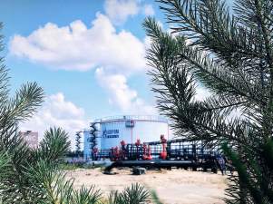 При поддержке «Газпромнефть-Ноябрьскнефтегаза» в ЯНАО высадят почти 15 тысяч сеянцев сосны