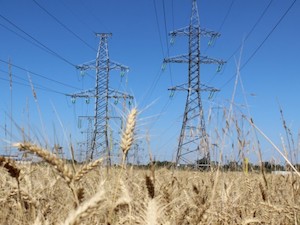 «Адыгейские электрические сети» построили и реконструировали более 30 км ЛЭП в Белореченском районе