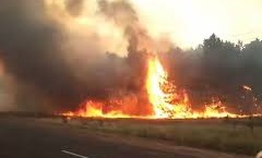 В трех районах Ростовской области введен режим ЧС - «Россети Юг» помогают тушить ландшафтные пожары