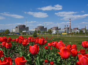 На Запорожской АЭС завершилась плановая инспекция МАГАТЭ
