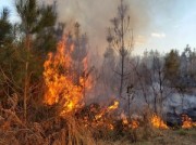 Уральские газовики приняли участие в ликвидации крупного лесного пожара в Свердловской области