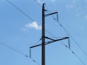 «Тихорецкие электрические сети» установили на ЛЭП более 500 птицезащитных устройств