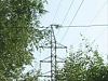 В Ставрополе восстановлено электроснабжение населения Северо-Западного района