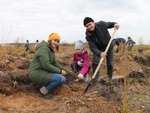 Более тысячи деревьев посадили волонтеры Чебоксарской ГЭС на месте лесных пожаров в Заволжье