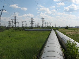 «Газпромнефть-Развитие» проводит мониторинг биологического разнообразия