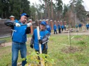 «МОЭСК» провела компенсационные высадки деревьев и кустарников в Кратово
