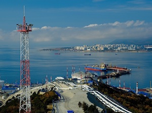 «Черномортранснефть» создаст полигон гидробионтов в акватории Черного моря