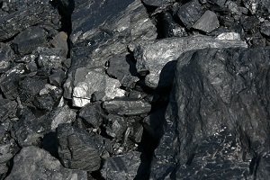 Россия увеличит поставки угля в Индию до 40 миллионов тонн в год