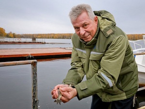 Смоленская АЭС выпустит в водохранилище свыше 640 тысяч особей рыб