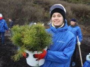 Распадская угольная компания высадила 9 тысяч деревьев в Новокузнецке