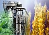 Украина и Словакия разработают первый совместный инвестпроект по производству биотоплива