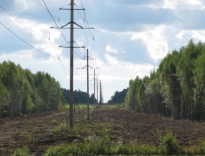 Петрозаводский университет предложил «Карелэнерго» методику подсчета древесины при расчистке просек ЛЭП