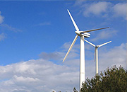 Мощность нового ветропарка в Калининградской области составит 6,9 мегаватт