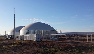 6.2 МВт даст биогазовая установка производителю сухого молока  в Уругвае