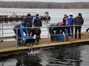 Смоленская АЭС выпустила в Десногорское водохранилище 6 тонн рыбы