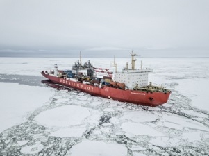 Атомный контейнеровоз «Севморпуть» завершил переход из Санкт-Петербурга на Дальний Восток