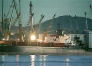 Пропускная способность порта Парс позволит экспортировать 35 млн. т нефтехимической продукции