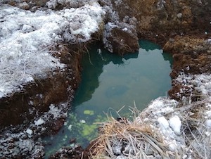 Росприроднадзор отобрал пробы почвы на месте разлива нефтепродуктов в Новгородской области