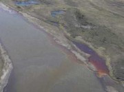 Ученые оценили влияние разлива нефтепродуктов на ТЭЦ в Норильске на экосистему Таймыра
