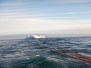 Арктический научный центр «Роснефти» отмечает 10-летие исследовательской работы