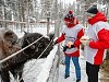 «Таас-Юрях Нефтегазодобыча» участвует в проекте по сохранению популяции бизонов в Якутии